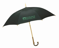 The Eco-Umbrella