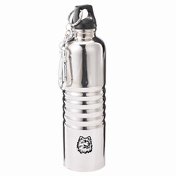 Stainless Steel Water Bottle with Carabiner