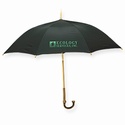 The Eco-Umbrella