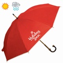 NON WOVEN EXECUTIVE UMBRELLA WITH BAMBOO SHAFT